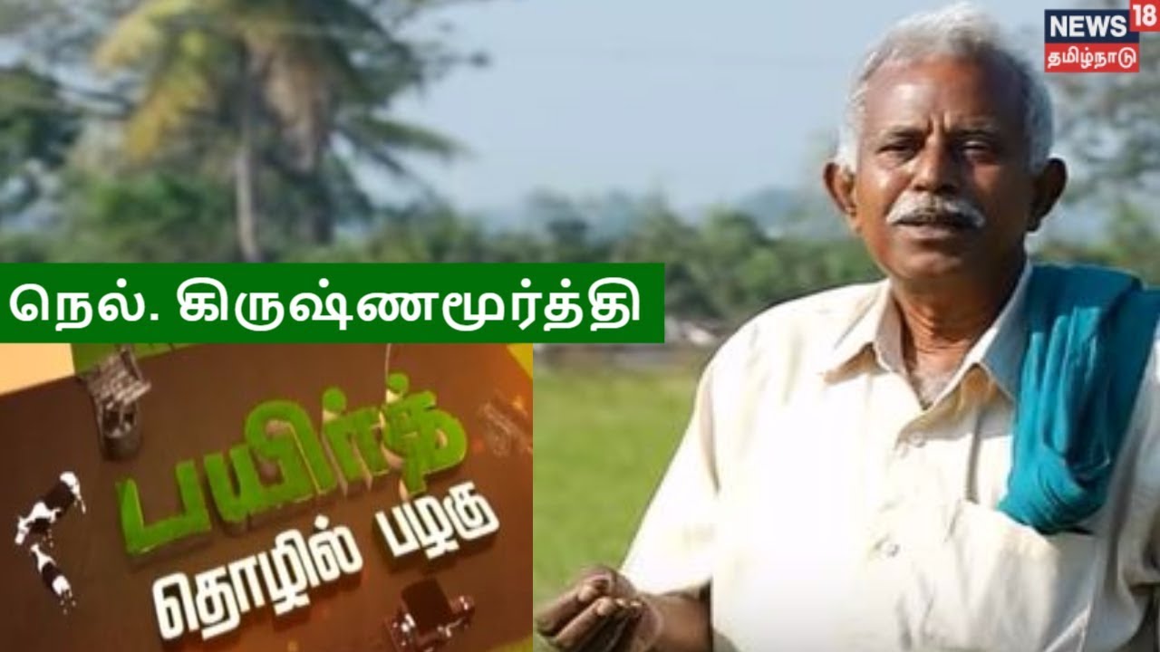 நெல். கிருஷ்ணமூர்த்தியின் இயற்கை விவசாய முறை | PAYIR THOZHIL PAZHAGU | EPISODE 22 | NEWS18 TAMILNADU