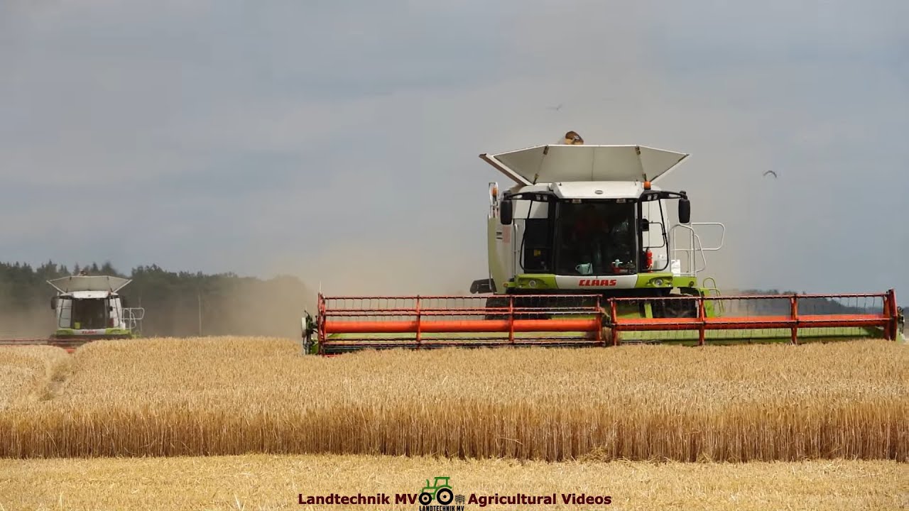 Claas - Fendt - John Deere / Getreideernte - Grain Harvest