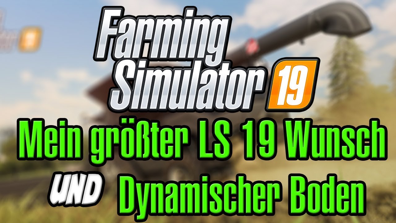 Mein gr&ouml;&szlig;ter LS 19 Wunsch und Dynamischer Boden