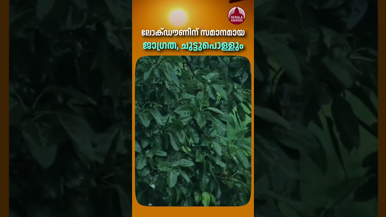 ലോക്ഡൗണിന് സമാനമായ ജാഗ്രത, ചുട്ടുപൊള്ളും #keralaweatherupdate #heatwave #yellowalert #climatechange