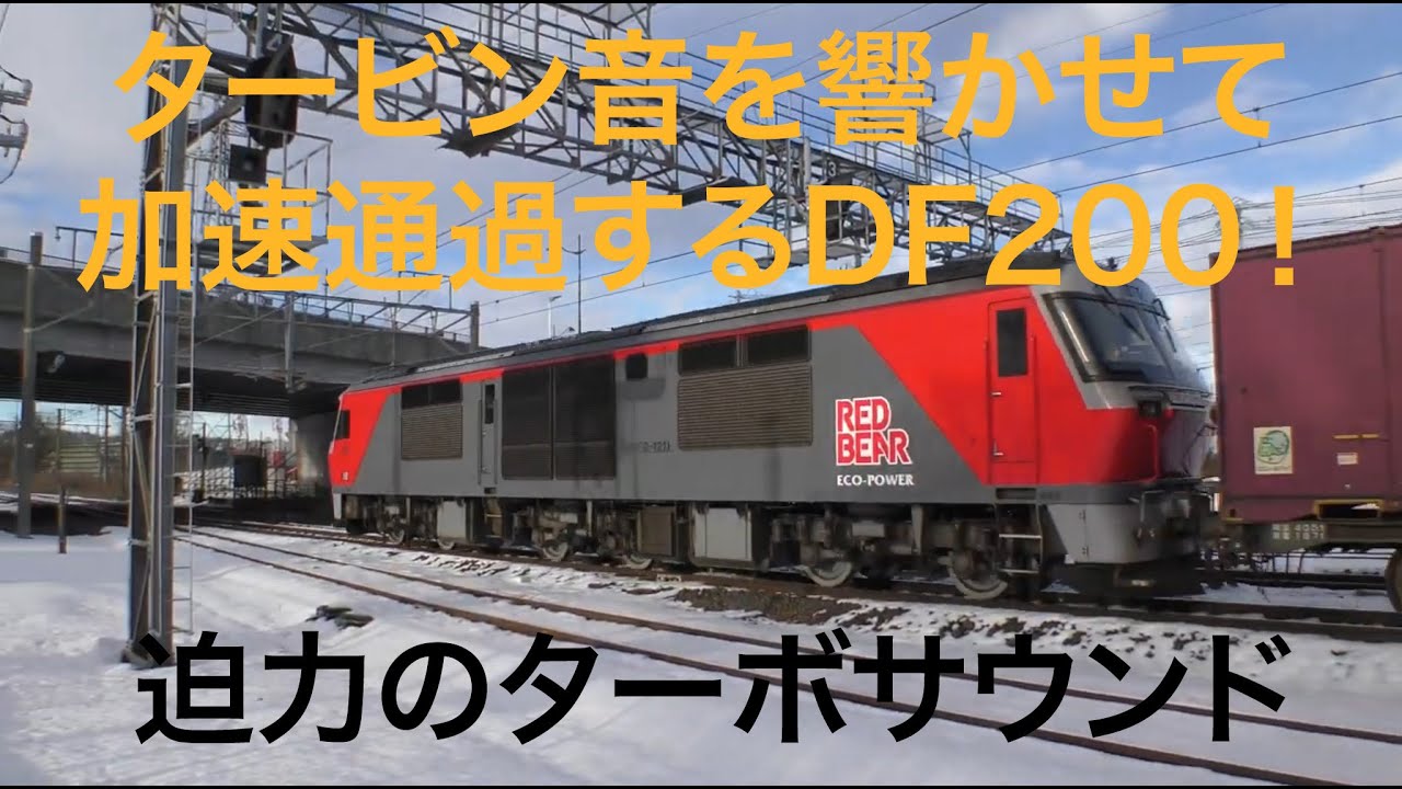 【DF200-121】目の前でターボを効かせて通過するDF200形牽引の貨物列車【ツインターボの咆哮】