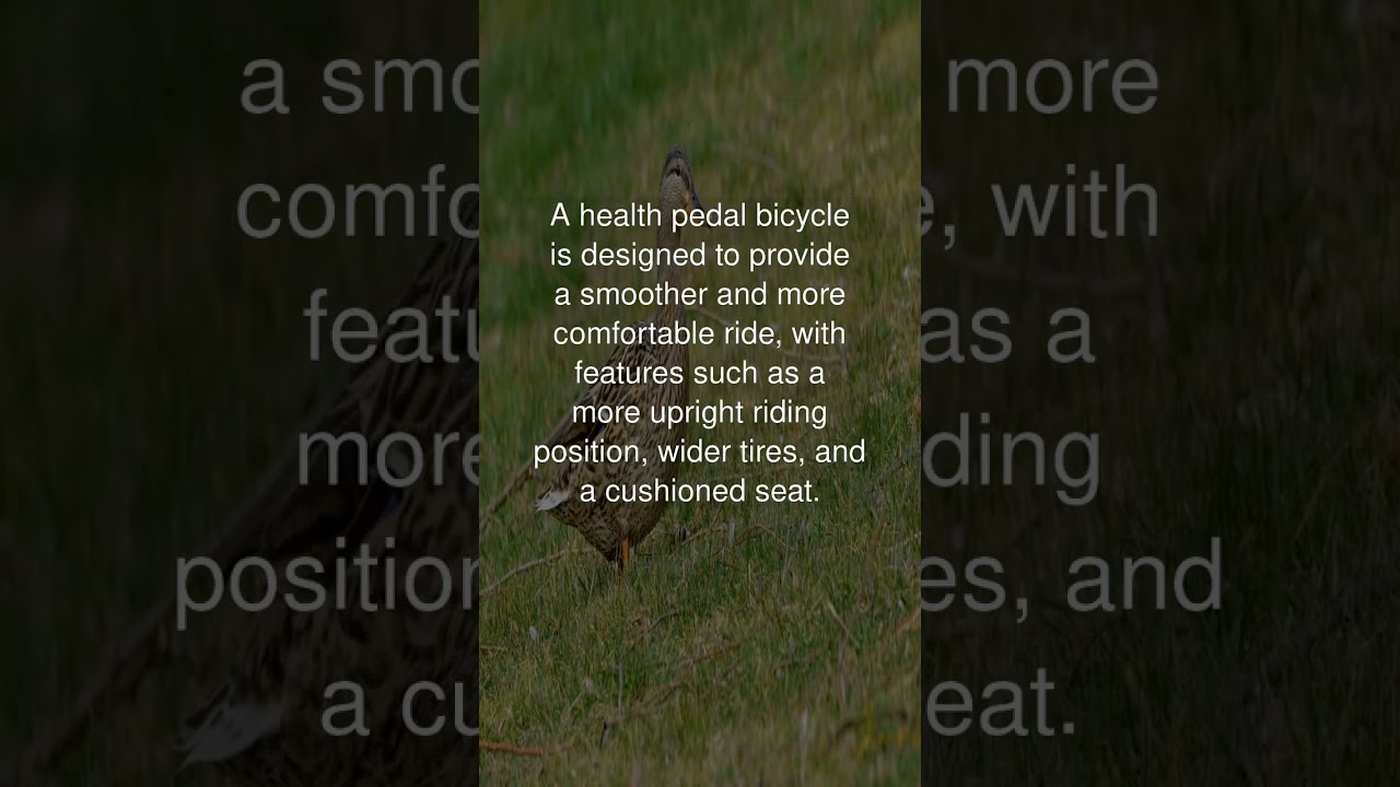 What are the differences between a #health pedal bicycle and a regular bicycle? #subscribe