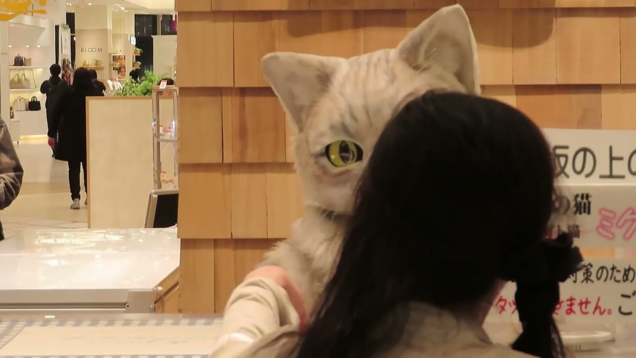 猫の店員さん