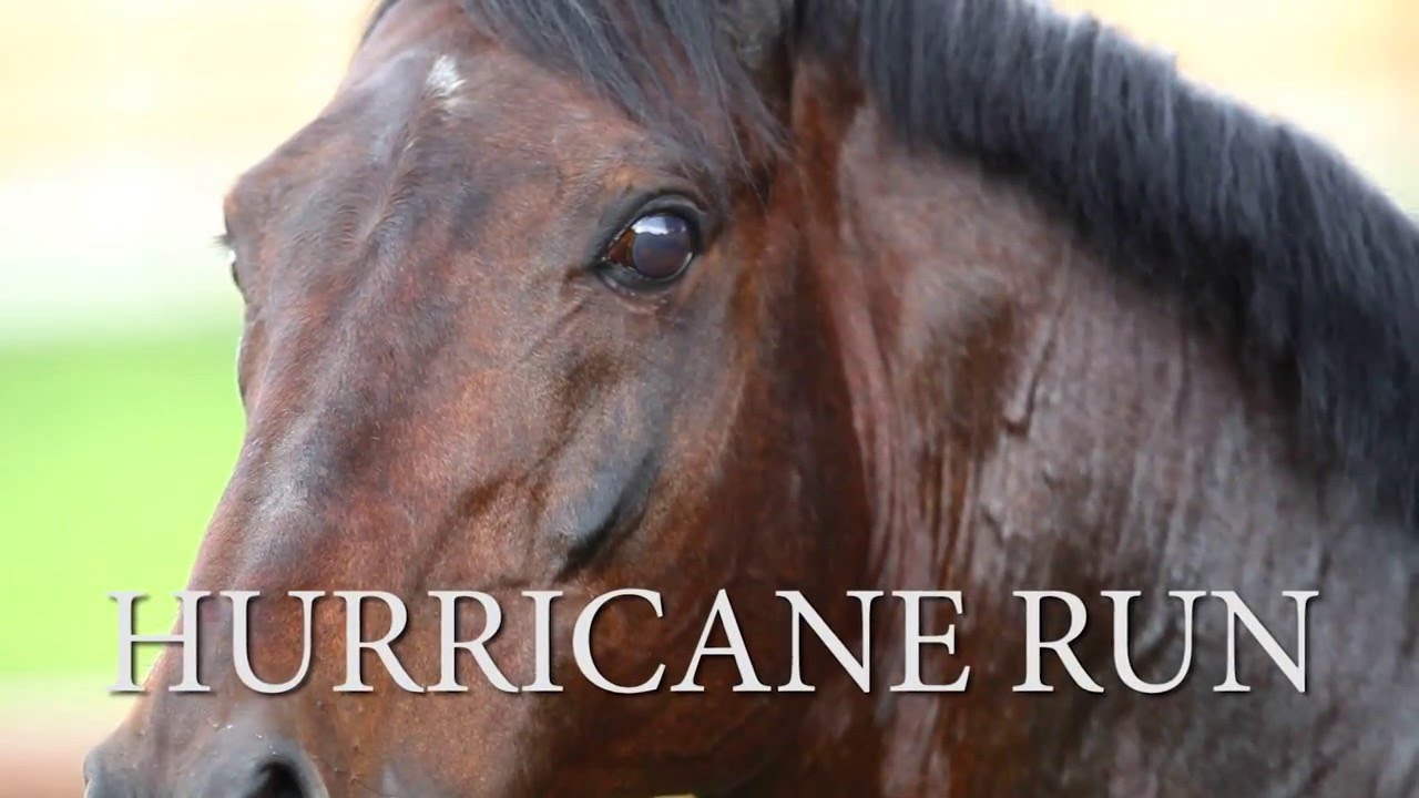 Hurricane Run deutsch