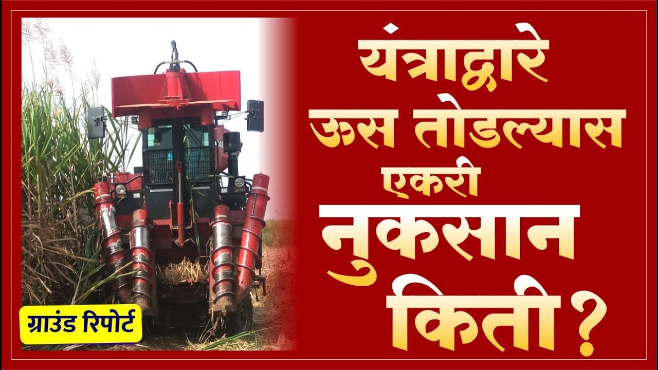 Sugarcane harvesting machine | ऊस तोडणी यंत्राद्वारे एकरी नुकसान किती ? Ground report