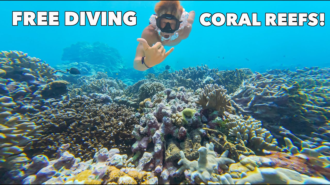Free Diving Remote CORAL REEFS in INDONESIA! | DJI Osmo Action 4 vs GoPro 12