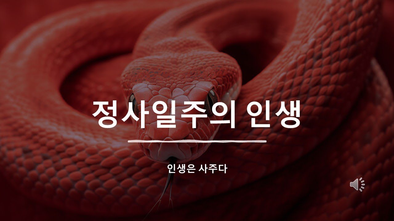 아무도 모르는 정사일주만의 독특한 인생