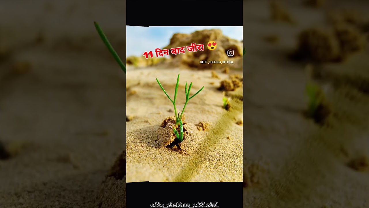 #zeerajsthan#rajsthani #viral #shortvideo #likesharesubscribe #imartidevi