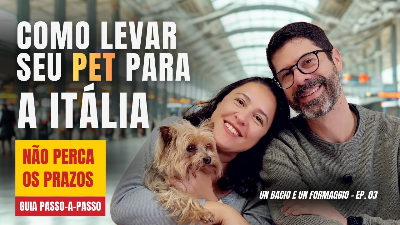 COMO LEVAR SEU CACHORRO PARA A ITÁLIA? Guia Completo: CVI, Sorologia, voo e prazos | Passo a Passo