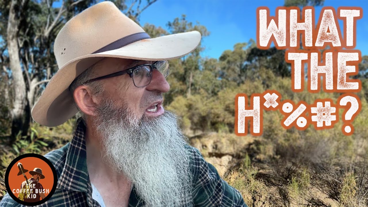 METAL DETECTING in a shocking mess with the MINELAB MANTICORE