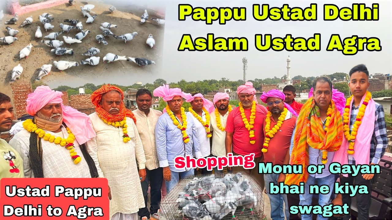 Ustad Pappu Delhi to Agra Hadrabhadi kabutaro ki Shopping Aslam Ustad ne kiya swagat ❣️