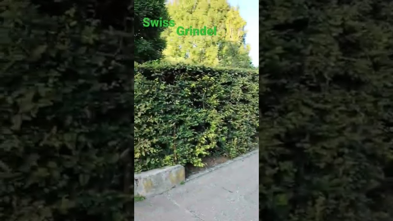 SWITZERLAND GRINDEL