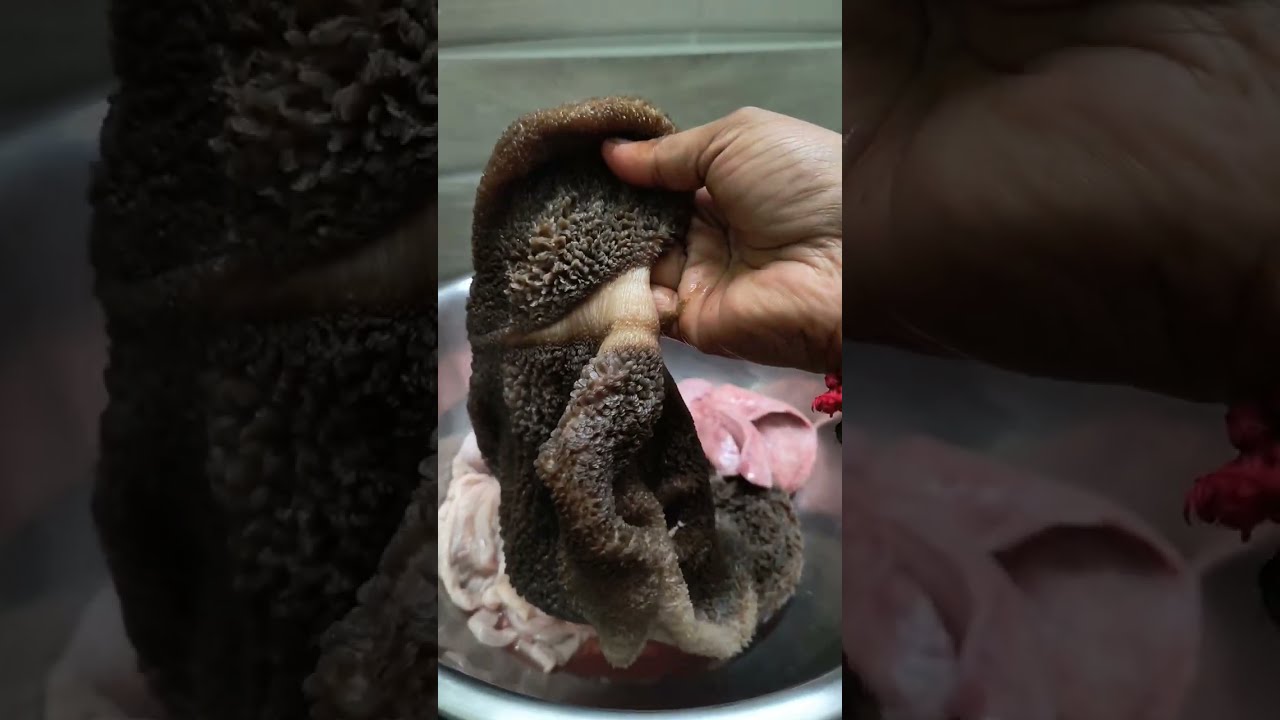 சுலபமா முறையில் ஆட்டு குடல் சுத்தம் செய்வது எப்படி?How to Clean Boti Kudal கிளீனிங் #food #trending