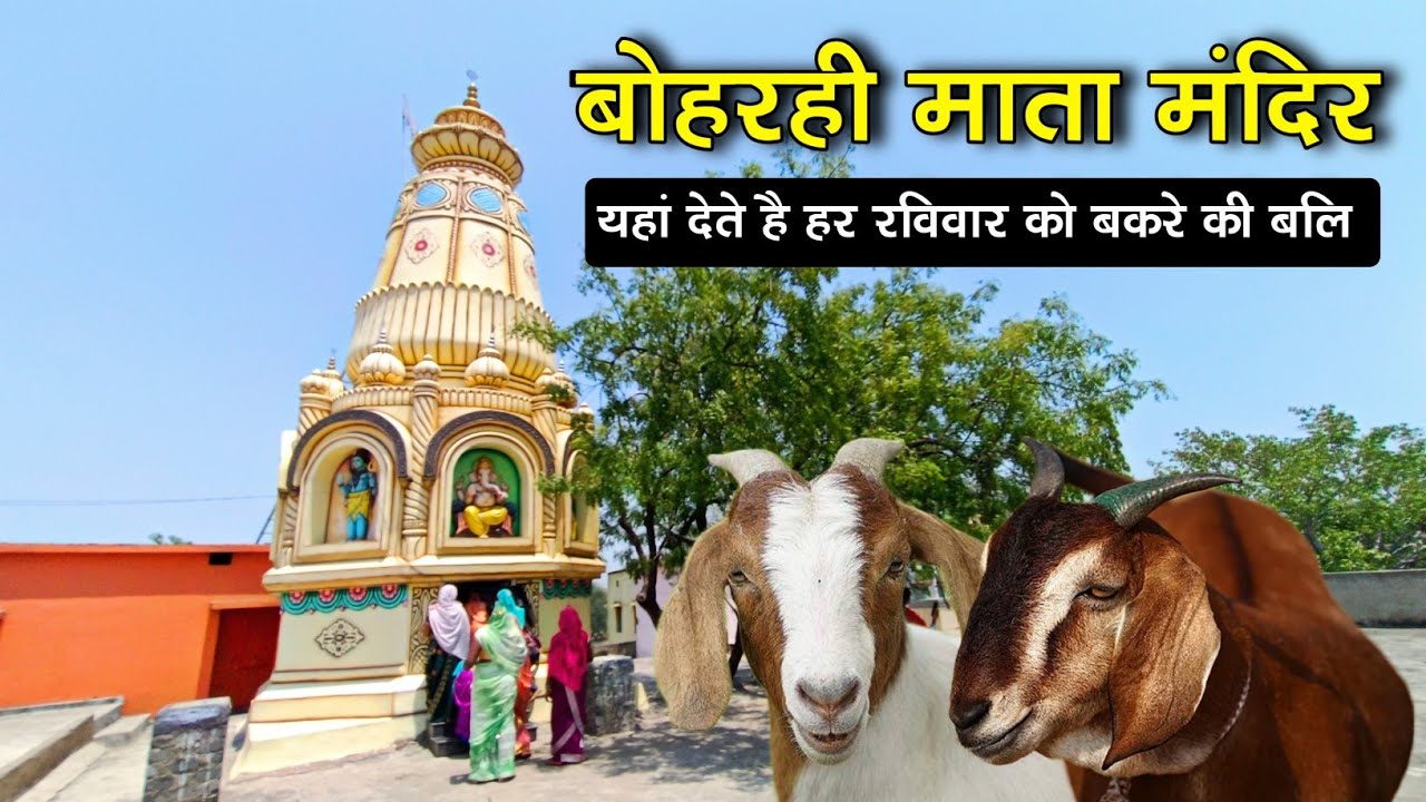 बोहरही माता मंदिर पथरी ।। Boharhi mata mandir pathri raipur