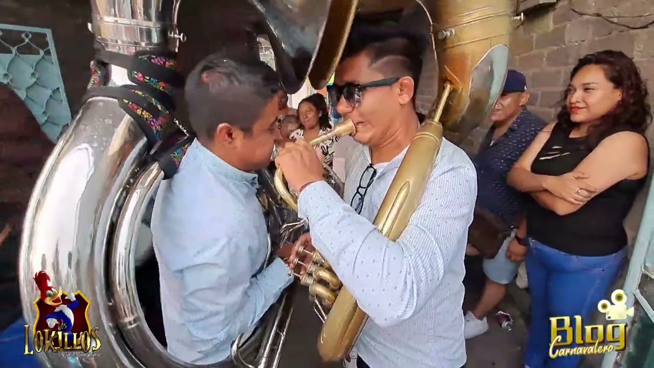 los lokillos de Santa Catarina tlahuac🔥🦜  banda Pequeña del Valle Carnaval 2023