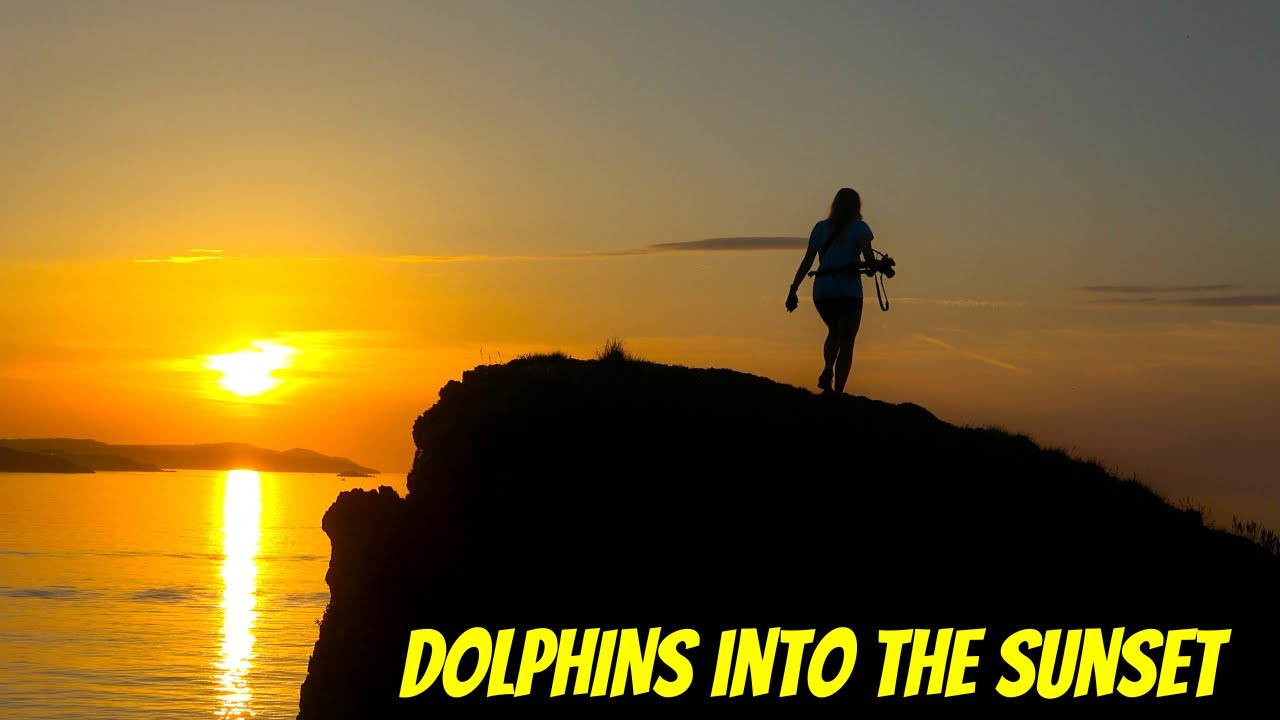 Watching Dolphins Head off into the Sunset on Anglesey