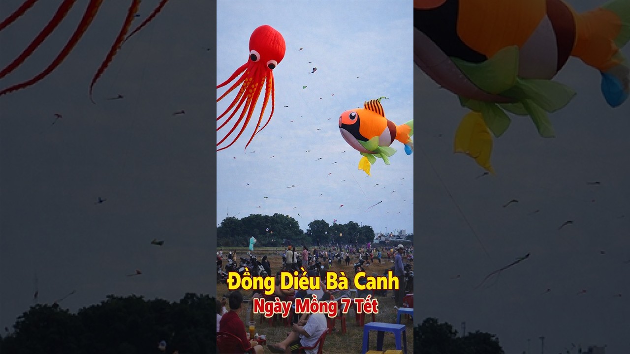 Mồng 7 Tết 🐴 - Đồng Diều Bà Canh Hóc Môn 🪂