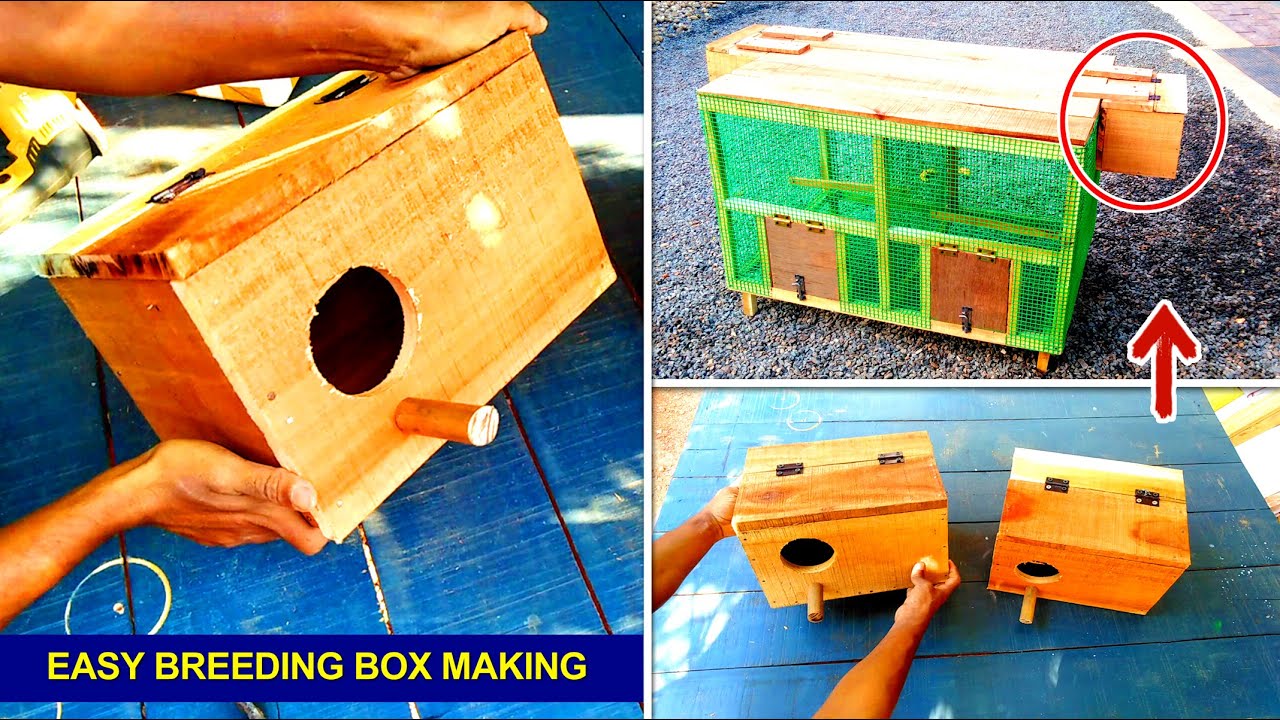 How To Make Breeding Box at Home | Easy Way To Make Wooden Breeding Box