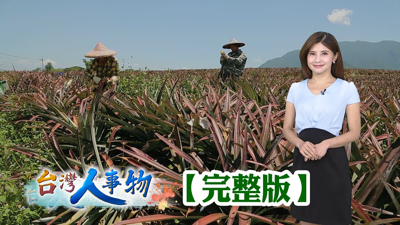 八卦山咖啡農二代 咖啡渣回收創驅蚊香/鳳梨再造的環保革命 自動取纖廢葉變黃金/清大高材生點木成金 廢材翻轉出破億價值/借貸十萬創茶葉王國 茶渣回收變茶香貓砂【台灣人事物】2025.11.08✦完整版✦