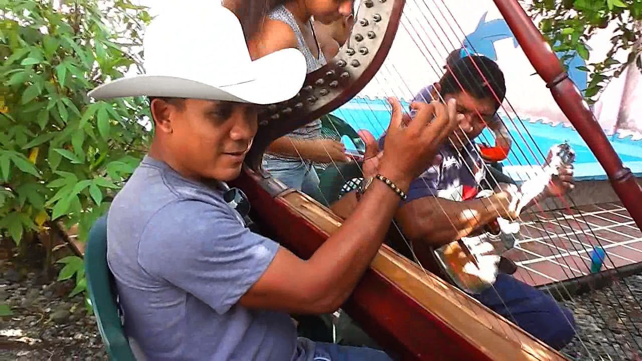 WILMER TOVAR TOCANDO ARPA EN EL CUMPLEAÑO DE JOSE GUEVARA