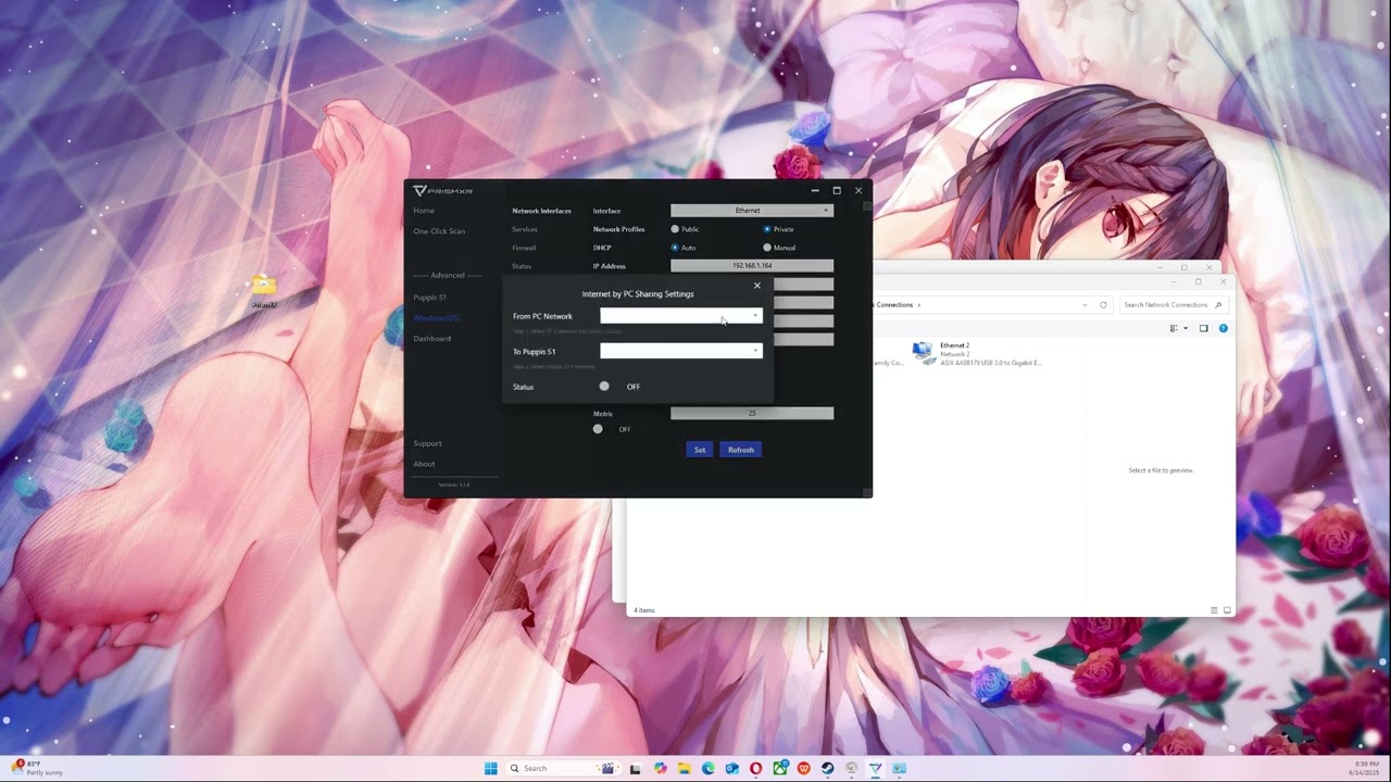 Puppis S1 setup