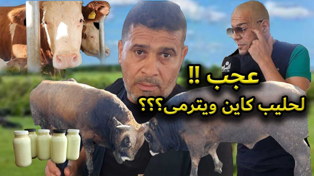فى بلدية الشراقة  مشاكل البيروقراطية تعطل الفلاح والإنتاج أين الخلل ؟؟؟