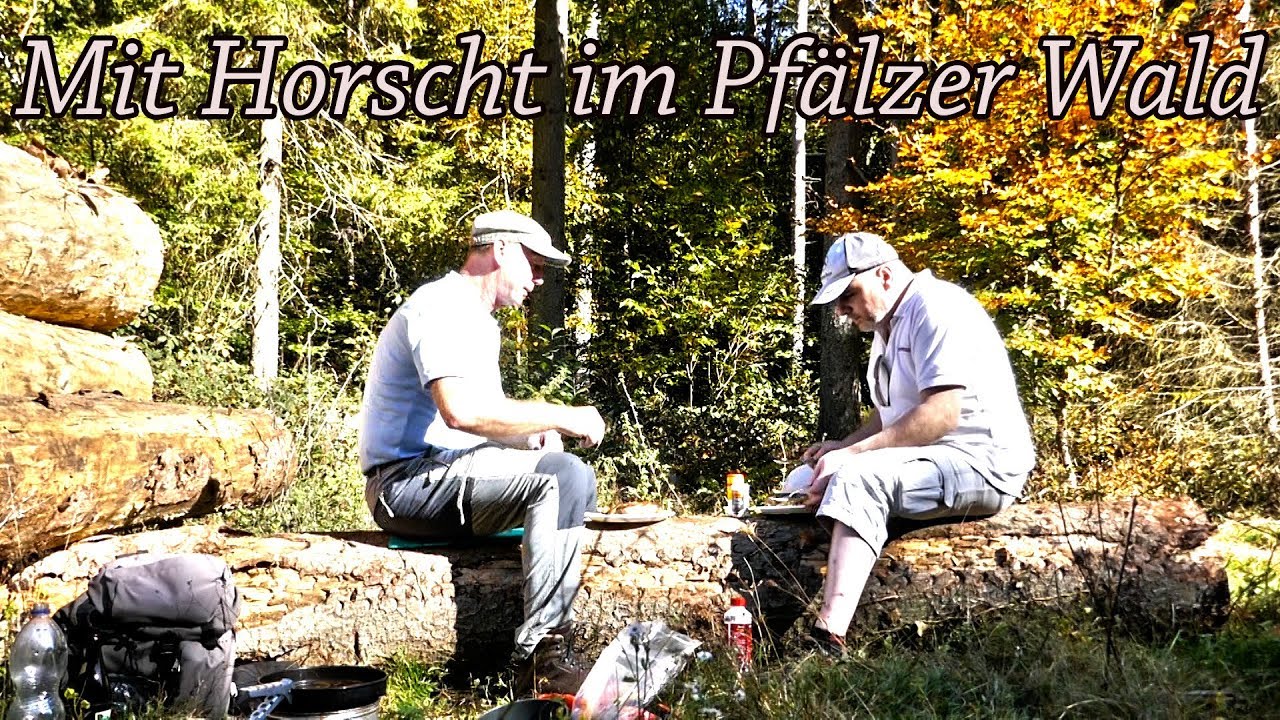 Mit Horscht im Pfälzer Wald