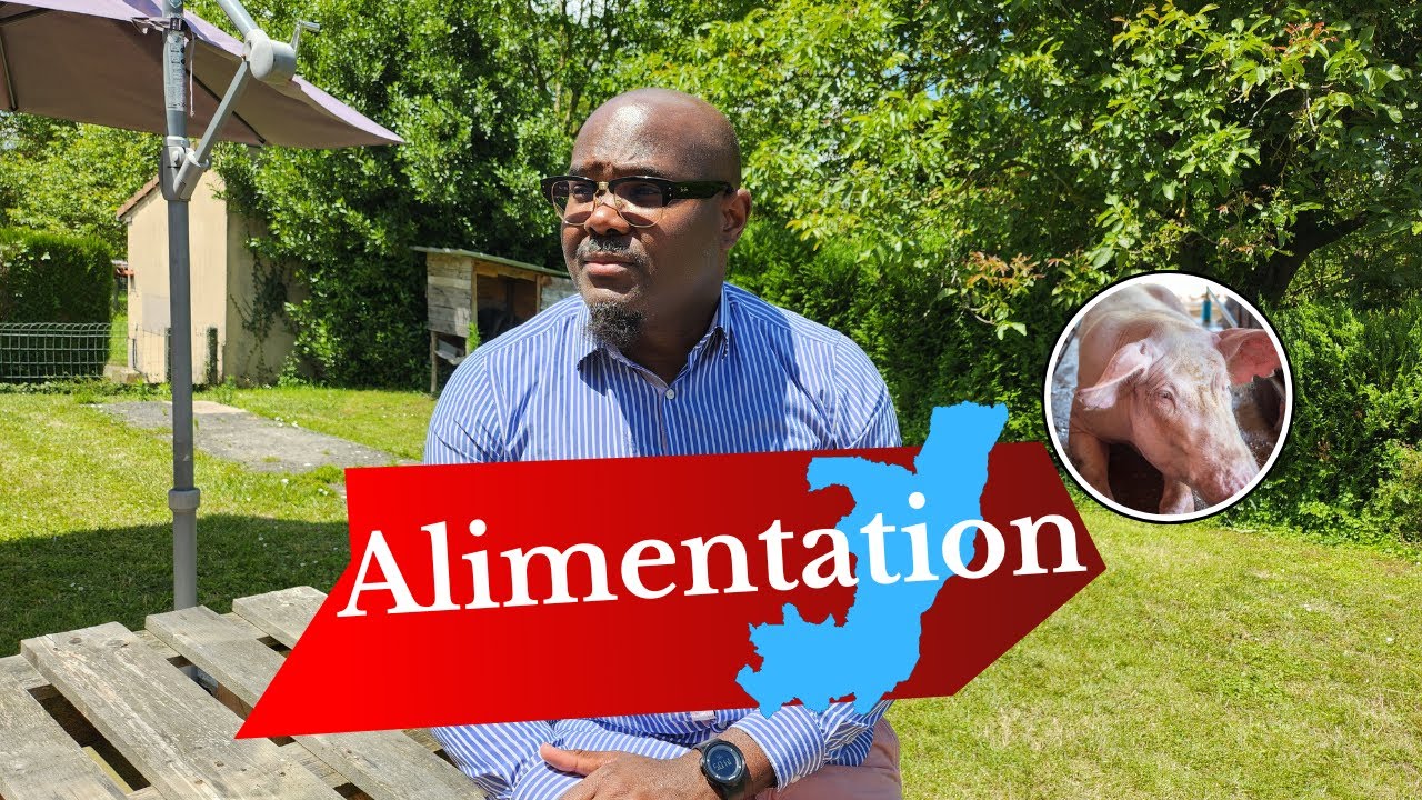 Alimentation des Porcs : Défis et Solutions