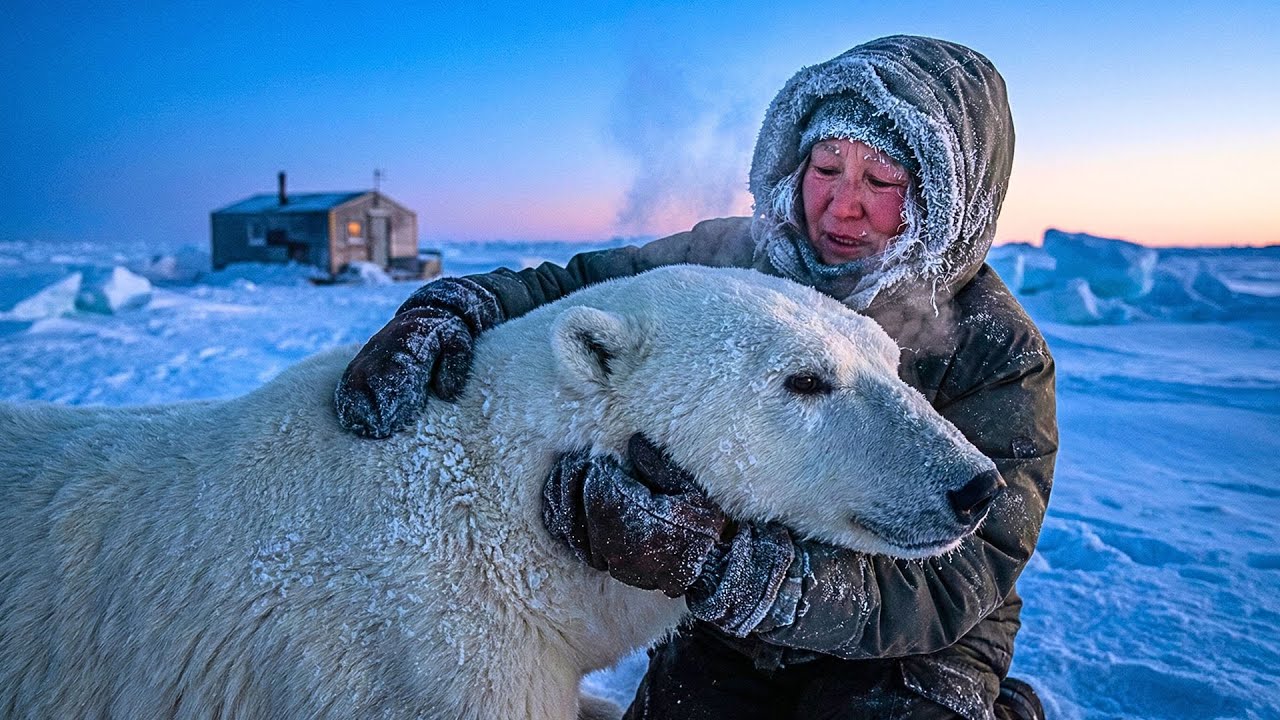 She Hugged a Wild Polar Bear at -55°C | The Bond That Shocked the World 🌍