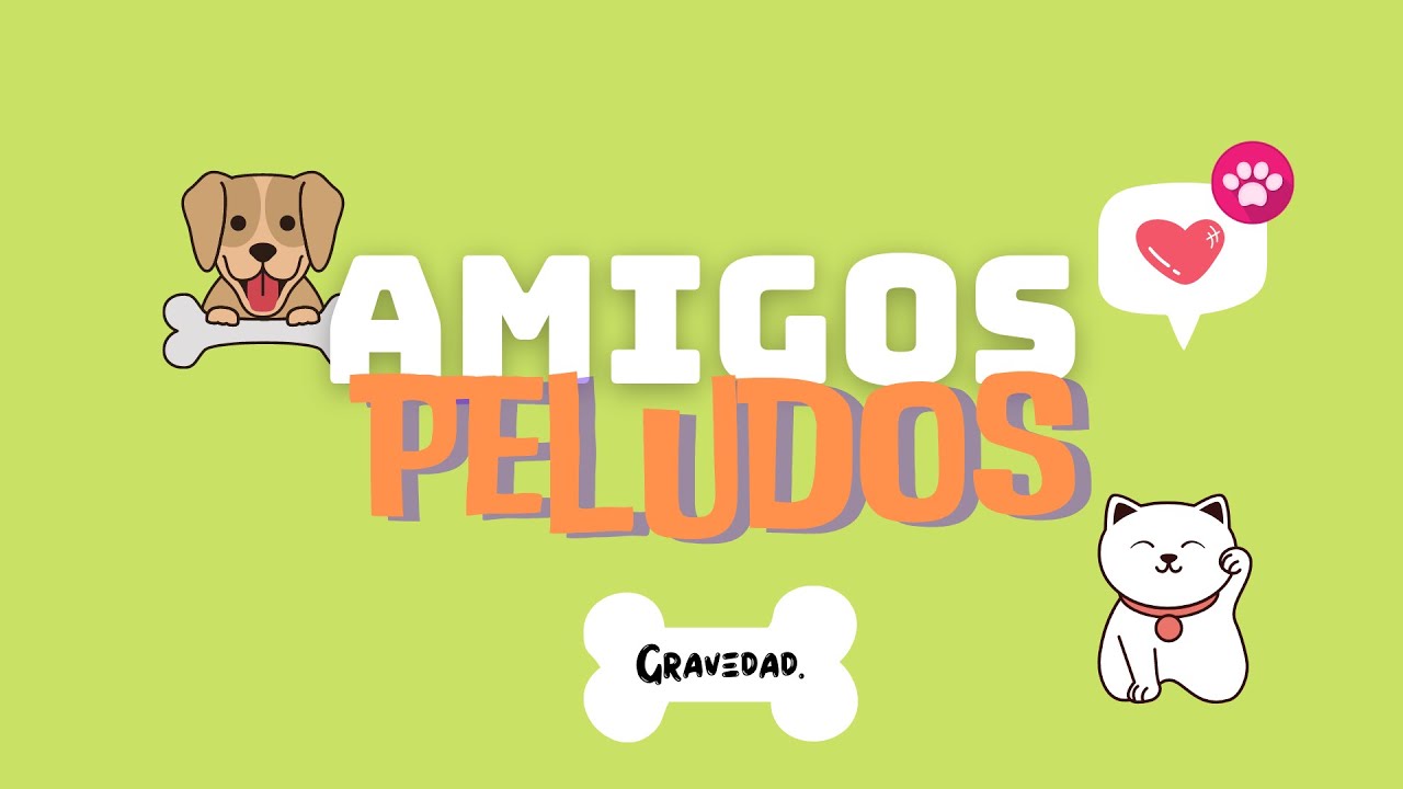 Amigos peludos/ Gravedad