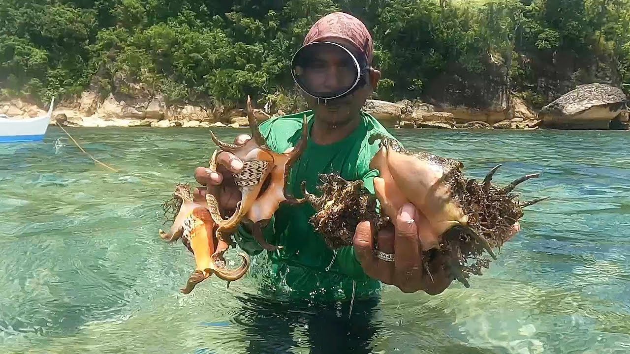 Pangunguha ng 