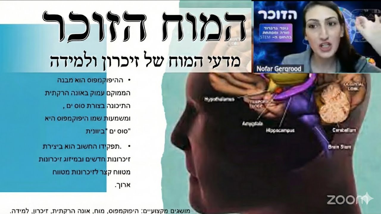 המוח הזוכר- מדעי המוח של זיכרון ולמידה