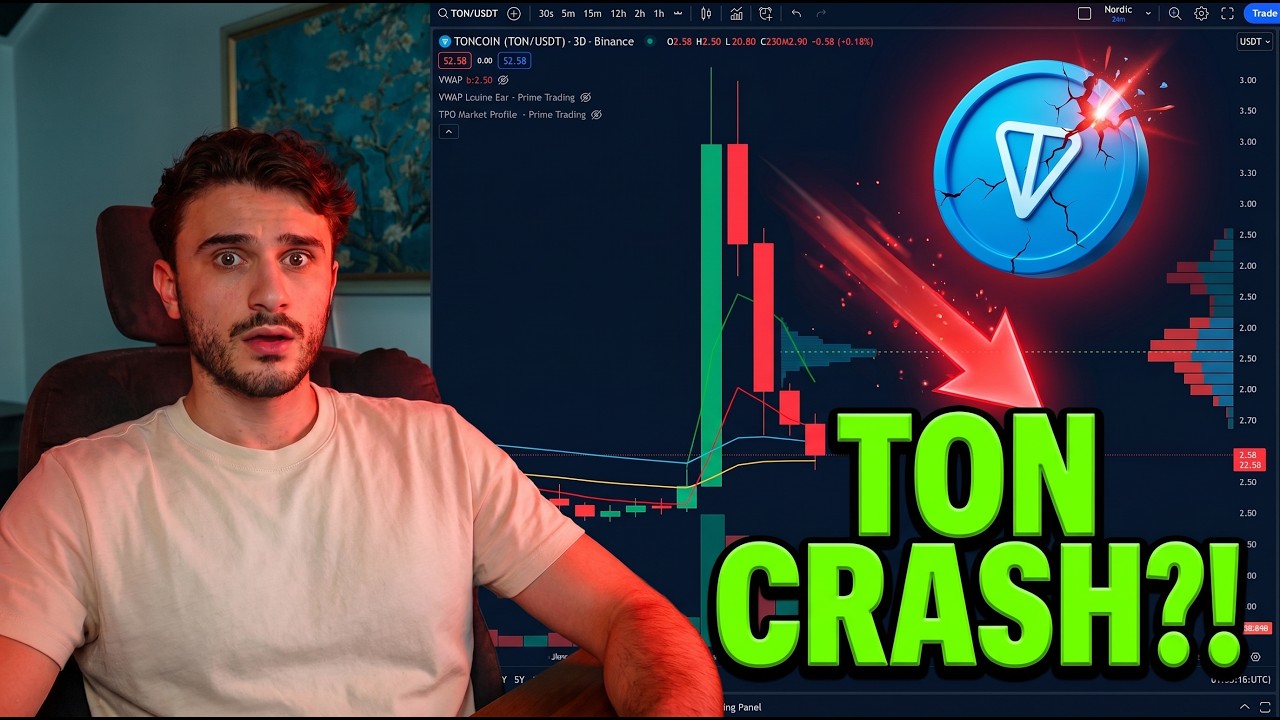 Toncoin PUMP! Is a crash imminent? VWAP and TPO analysis