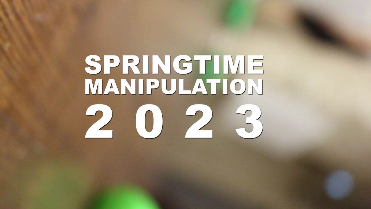Springtime manipulation 2023 (SJC - Swedish Juggling Convention)