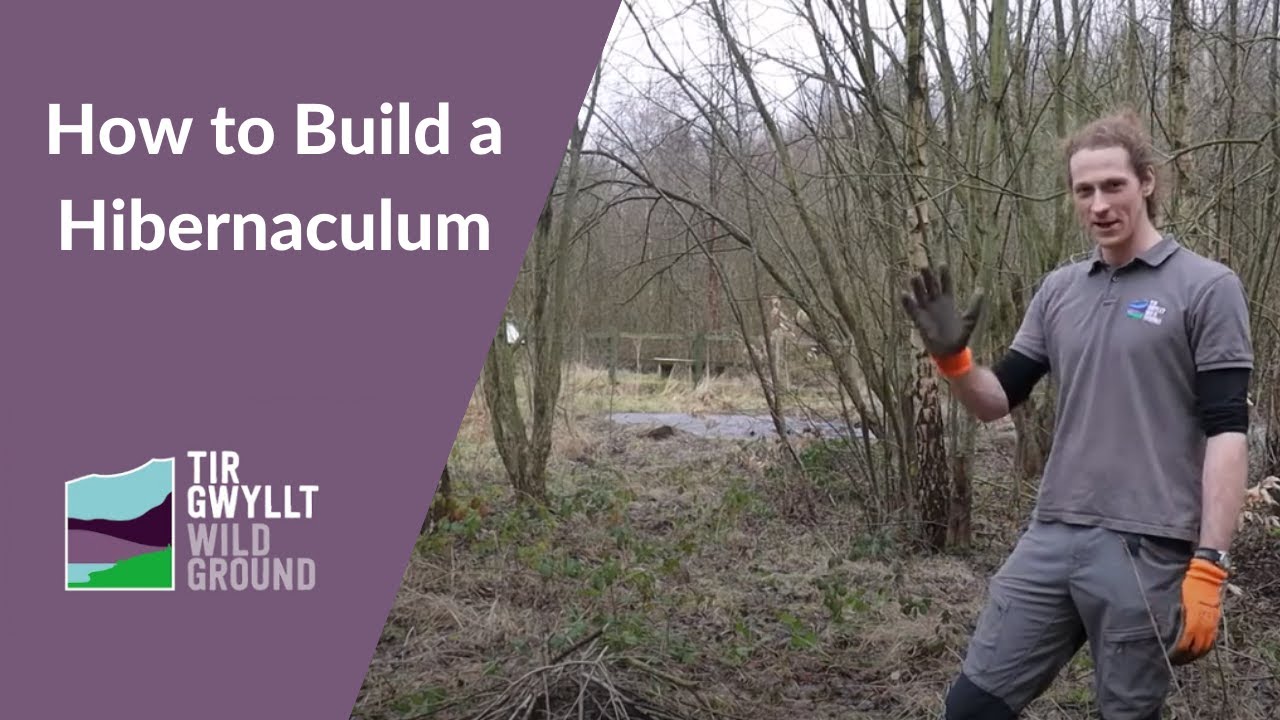How to build a hibernaculum