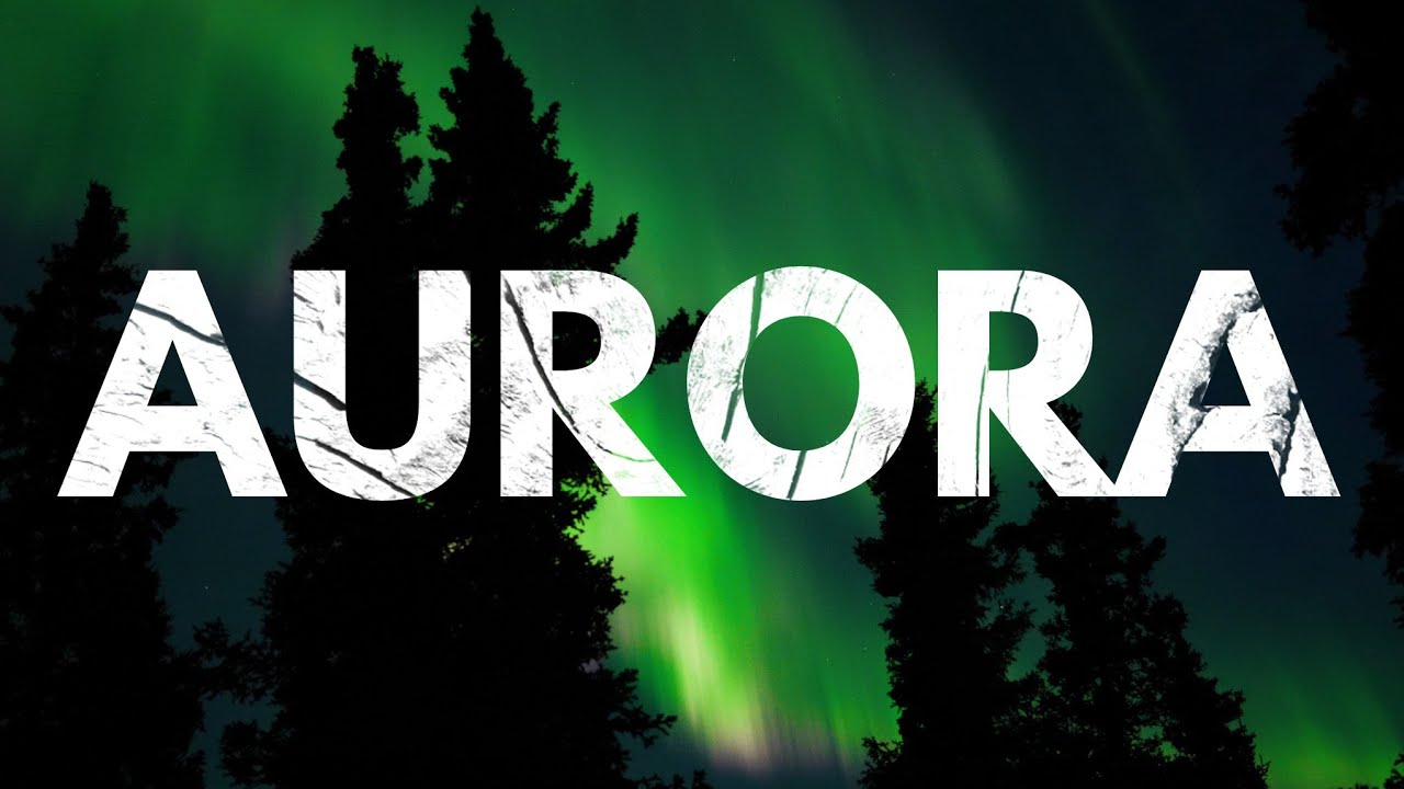 Bears, wolves, caribou, moose, and northern lights in Alaska! [S1E38]