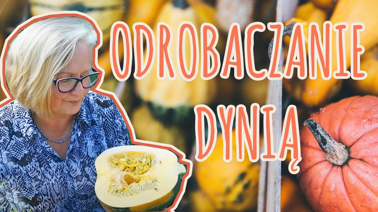 Skuteczne odrobaczanie z pasożyt&oacute;w przewodu pokarmowego - Dynia Bez Łupinkowa w akcji !