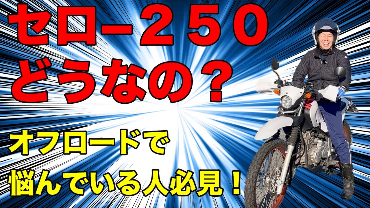 YAMAHA セロー２５０を掘り下げる