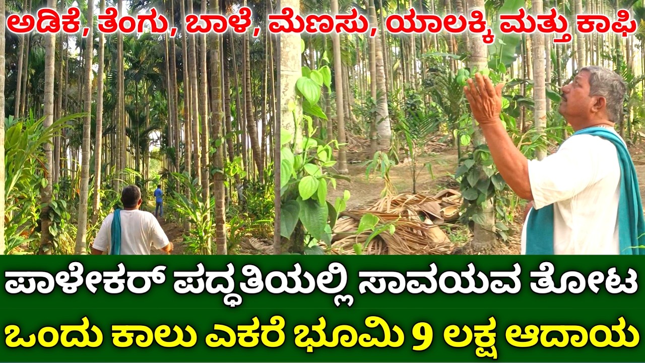 ಪಾಳೇಕರ್ ಪದ್ಧತಿಯಲ್ಲಿ ಸಾವಯವ ತೋಟ | Organic horticulture Farming In Kannada | NATURAL Farming Made Easy