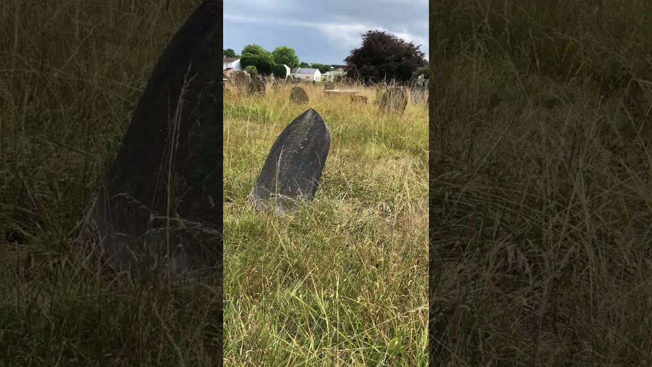 A temetőben - At the Cemetery. Tanulj magyarul! Learn Hungarian!