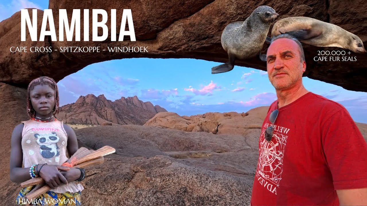 Seals, Stone Arches and a Capital City | Namibia Road Trip