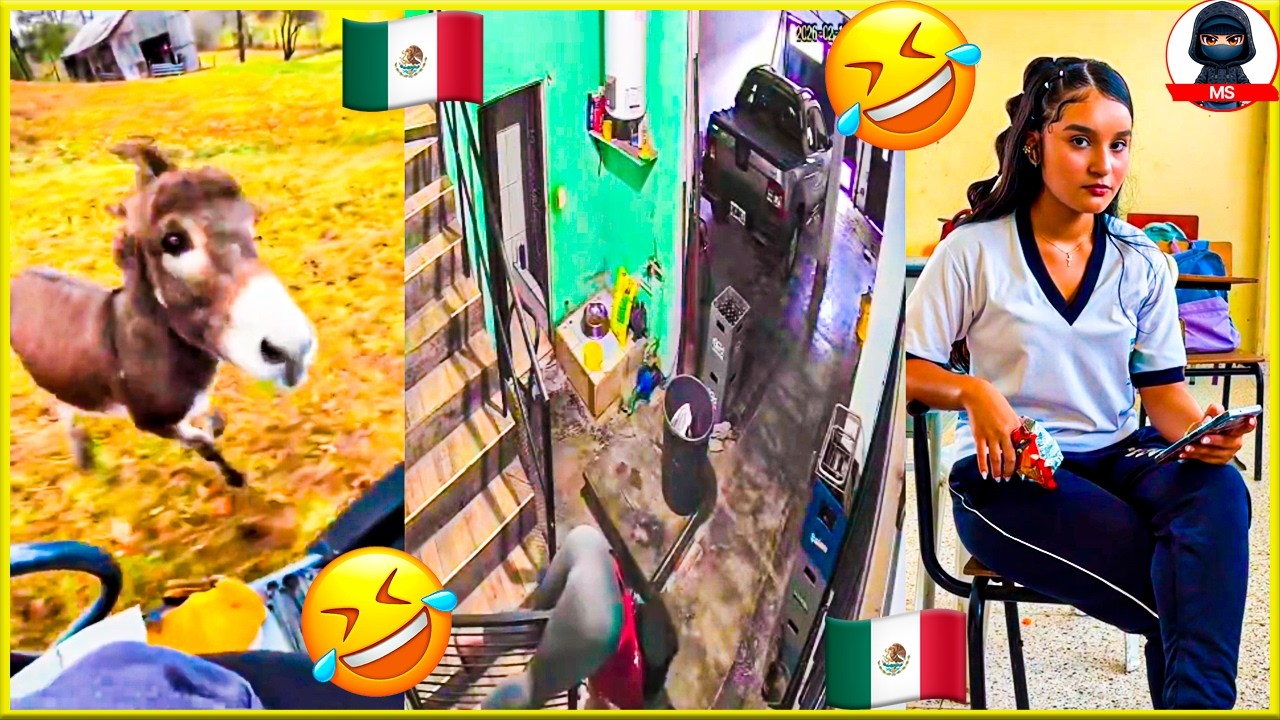Si te Ríes Pierdes NIVEL EXTREMO! 🤣😂# 11.. Humor, caídas y más... Lo mejor del TOKTOK ✅