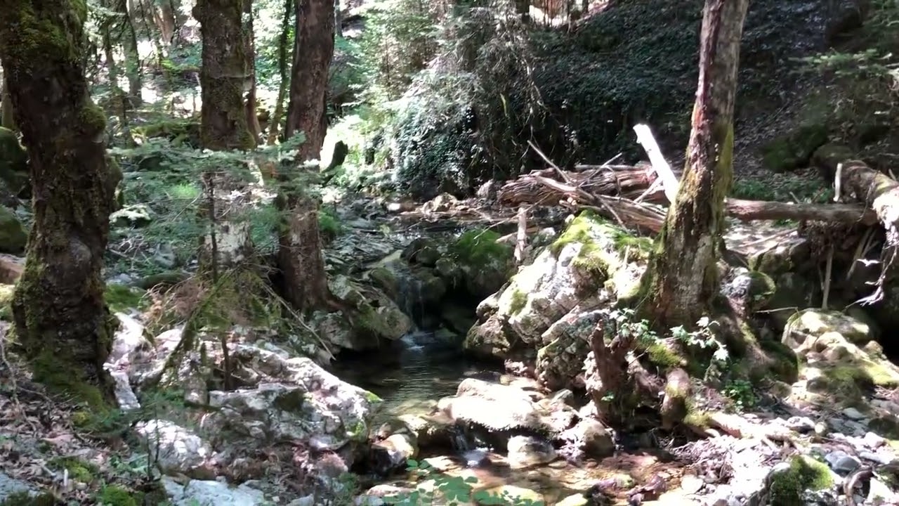 La terza tappa del Menalon Trail, da Elati a Vytina (Arcadia - Grecia)