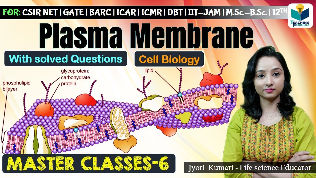 Plasma Membrane | Master class-6