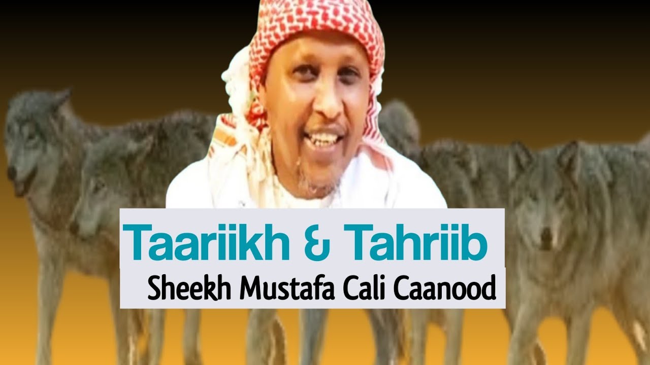 Taariikh & Tahriib | Sh Mustafa Caanood | Kismaayo
