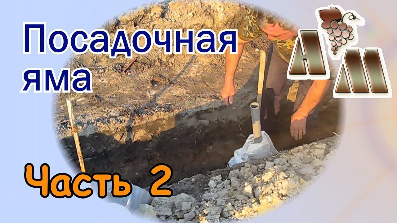 🍇 Посадочная яма для винограда (часть 2). Заполнение грунтом, удобрение