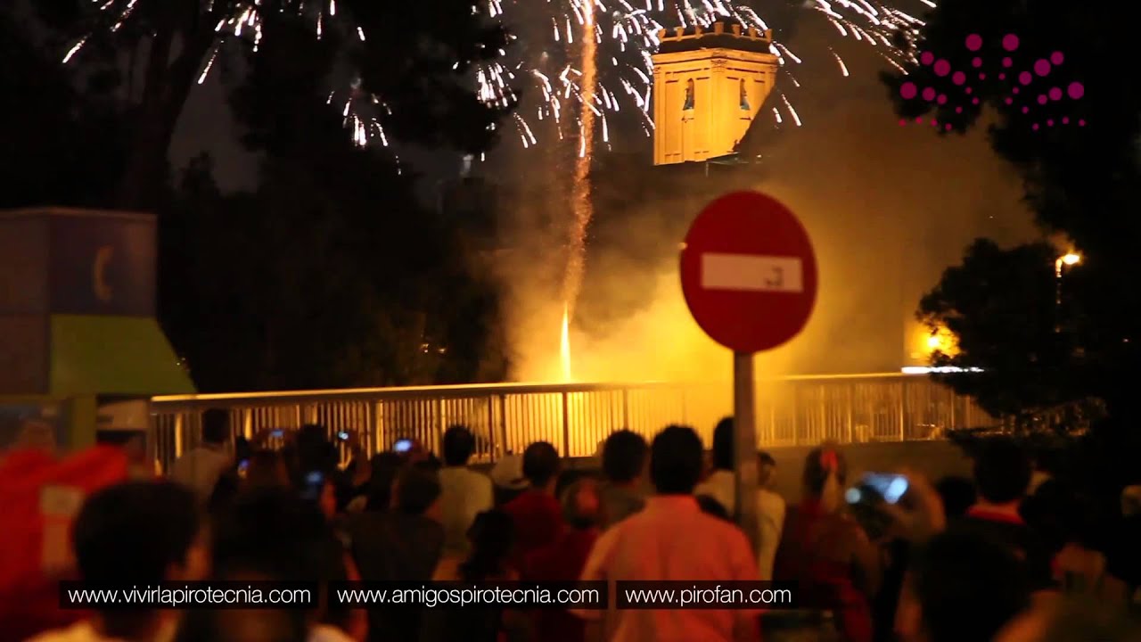 Nit de L'Albà 2014 Elche (Alicante) | Palmera Imperial, Virgen de La Asunción, Mare de Déu