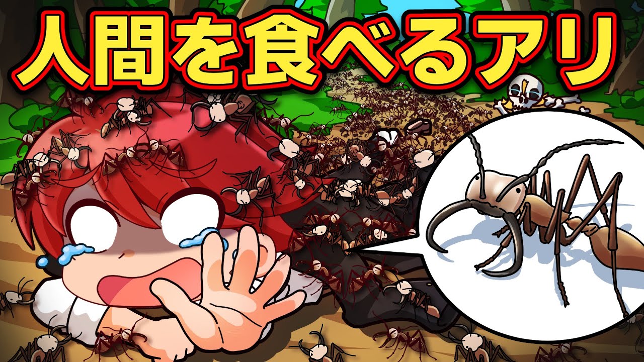 【超危険】人間を食い尽くす「グンタイアリ」がヤバすぎる【アニメ】【マンガ】