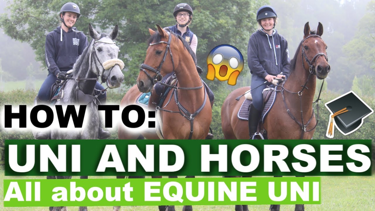 Taking your HORSE to UNIVERSITY? | Hartpury Equine Uni | Ride Every Stride