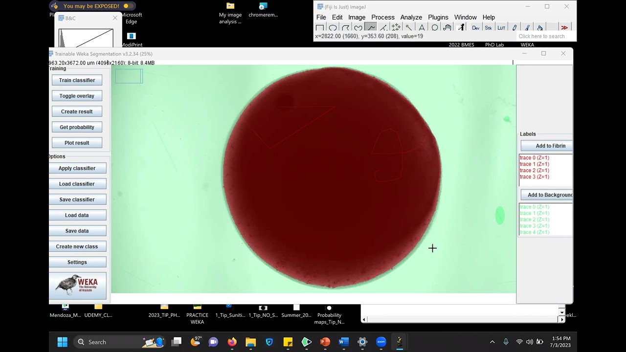 2: Image Analysis: Weka Segmentation: Image Analysis Automation